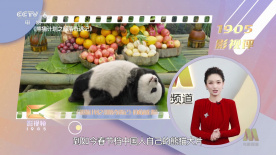 夜无疆全文免费阅读笔趣阁